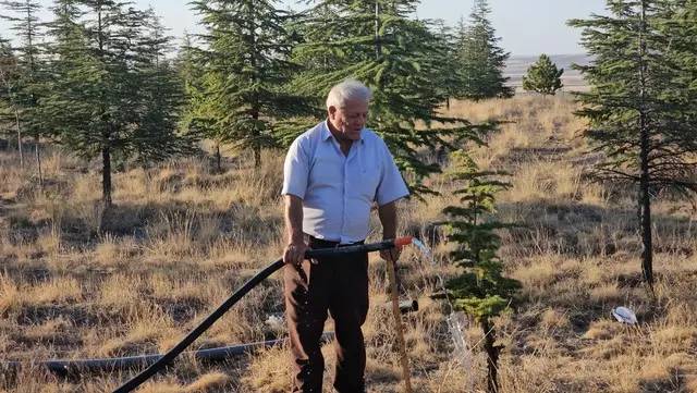 Bahşişleriyle satın alıp ekmeye başladı, 25 yılda bozkırı ormana çevirdi 2